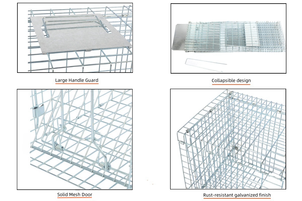 trap cage details mesh.jpg