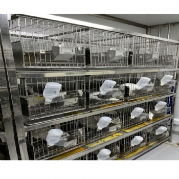 Laboratorial Rabbit Cage