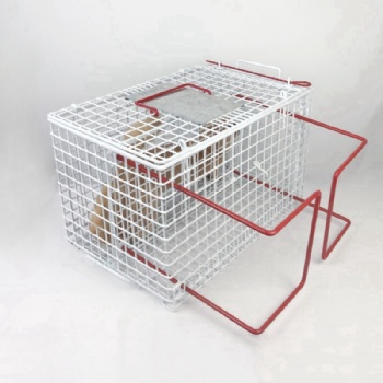 Cat Crush Cage